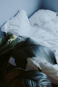 Egyptian Cotton Vs Regular Cotton: What Makes The Difference In Your Bedsheets