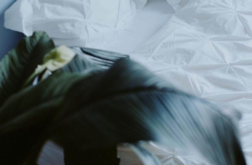 Egyptian Cotton Vs Regular Cotton: What Makes The Difference In Your Bedsheets