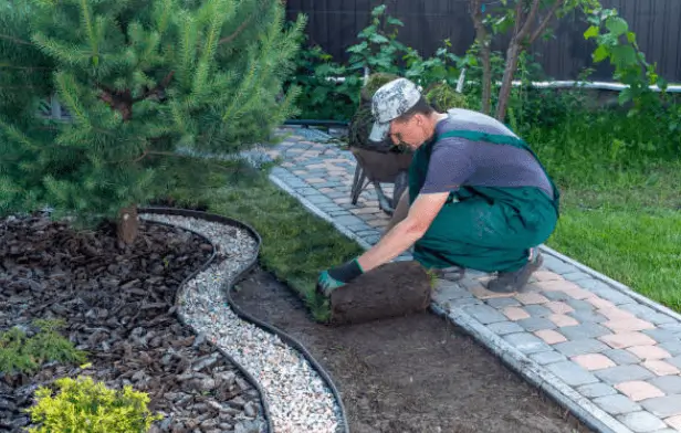 Professional Turf Laying Services in Campbelltown for a Perfect Green Outdoor Finish