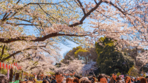 Top 3 Fantastic Travel Attractions in Tokyo