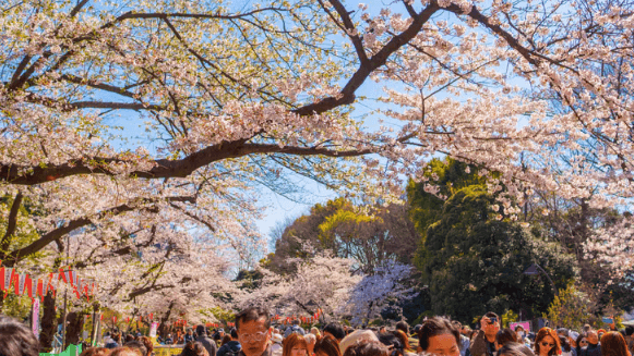 Top 3 Fantastic Travel Attractions in Tokyo